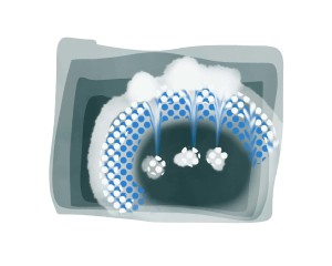 Blue Poodle