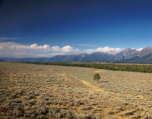 Grand Teton Standing Out