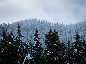 Cypress Mountain 2