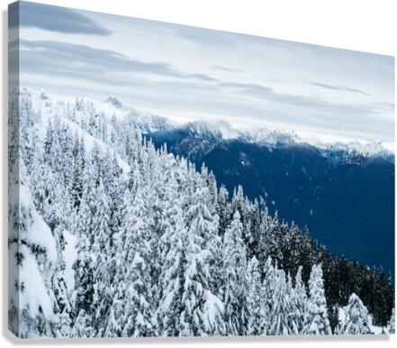 Cypress Mountain 1 Canvas Print