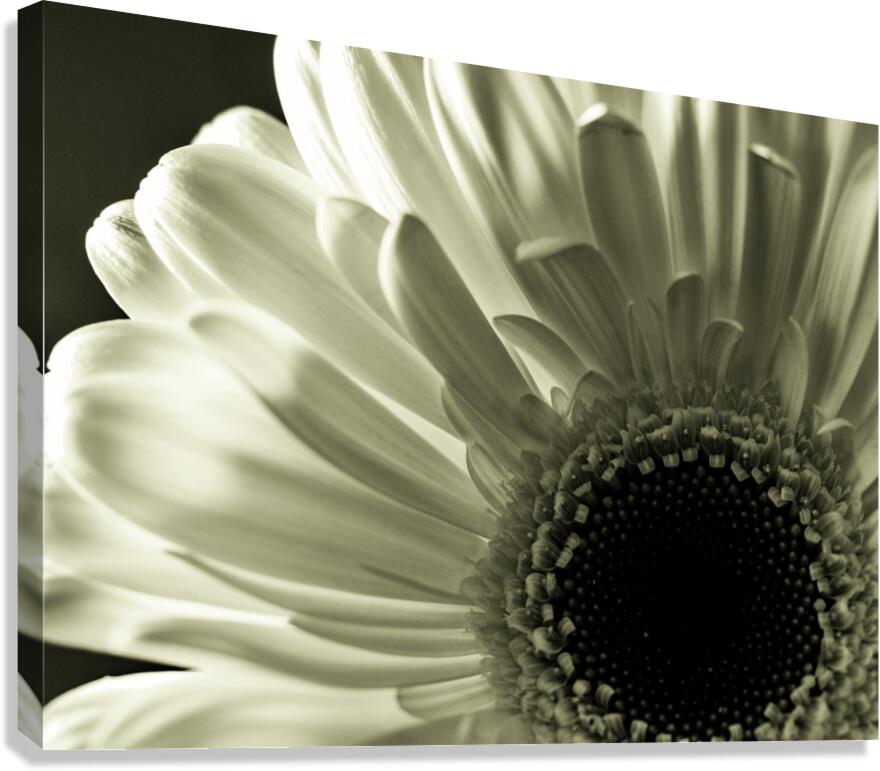 Just Me Canvas Print