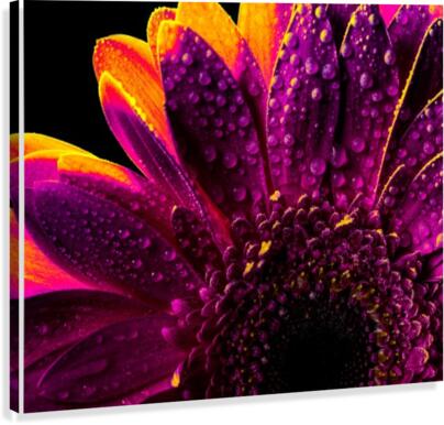 Surf Fire Canvas Print