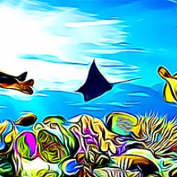 Ocean 1.3