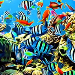 Ocean 1.4