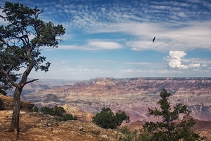 Above And Beyond - Grand Canyon