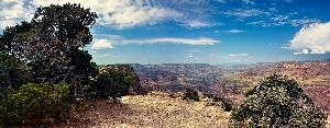 Behold Natures Majesty
