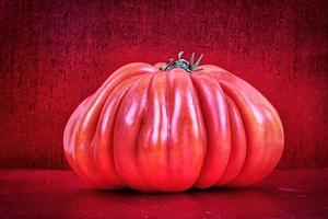 Big Red Heirloom Tomato