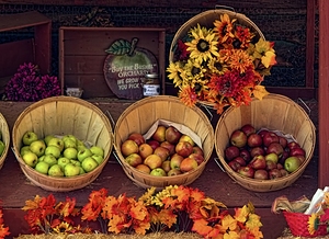 Buy the Bushel