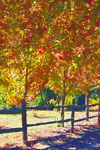 Down By Autumn Lane