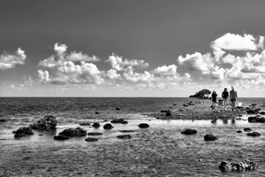 Four by the Seashore