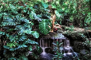 Hidden Eve