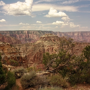 Lay Me Down - Grand Canyon