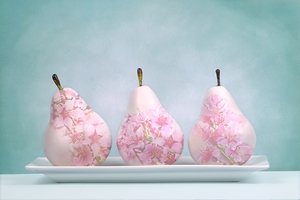 Pear Blossoms