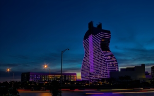 Rhythms of Night