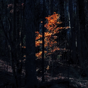 Soulshine