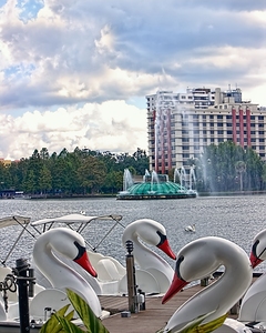 Swan Lake at Orlando