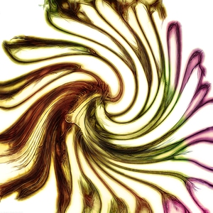 Terra Mystique - Abstract