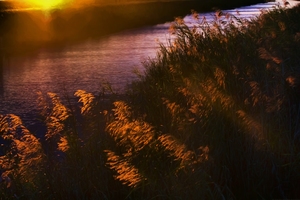 The Golden Hour