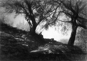 The Space of an Afternoon