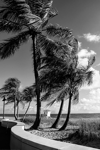 The Wind Between- Ft Lauderdale Beach
