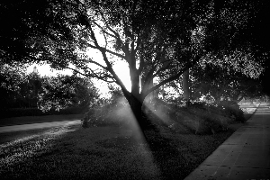 Walks of Light