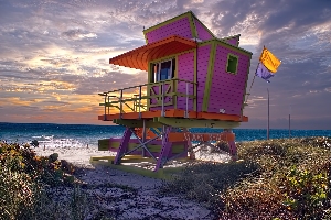 Watch the Sunrise- Miami Beach