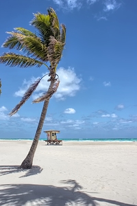 Wind in the Sails - Hollywood Beach