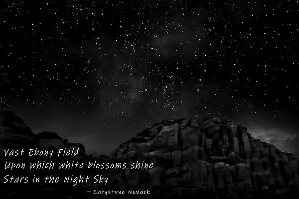 Night Blossoms Haiku by Chrystyne Novack