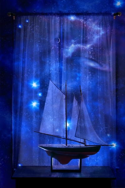 A Star To Steer By by Chrystyne Novack