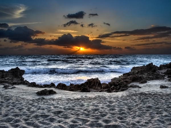 As The Day Washed Ashore by Chrystyne Novack