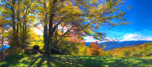 Autumns Dance - Blue Ridge Parkway by Chrystyne Novack