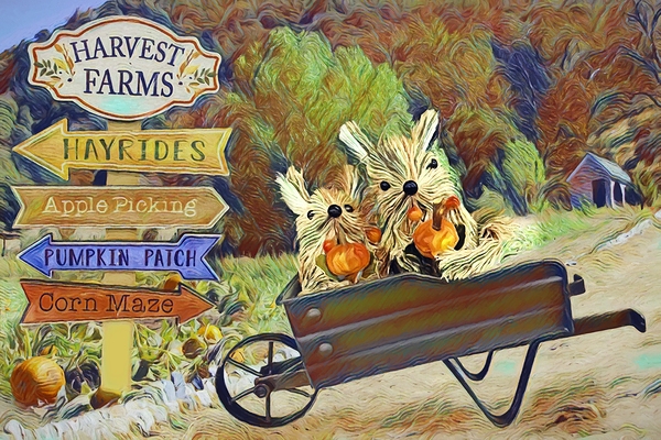 Fall Gatherings Print