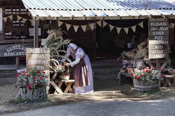 Gathering Autumns Bounty - Country Store by Chrystyne Novack