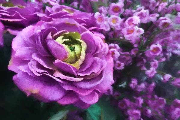 Harmony in Pink Print