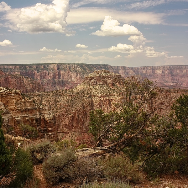 Lay Me Down - Grand Canyon by Chrystyne Novack