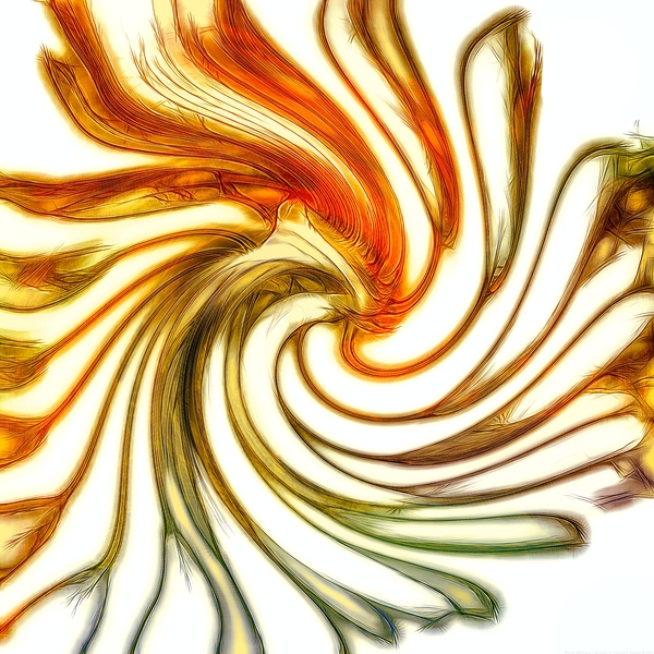 Molten Mystique - Abstract by Chrystyne Novack