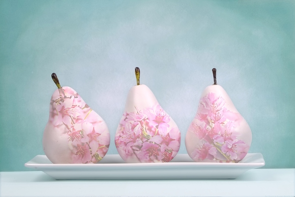 Pear Blossoms Print