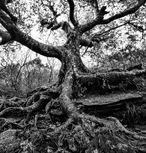 Reaching Print