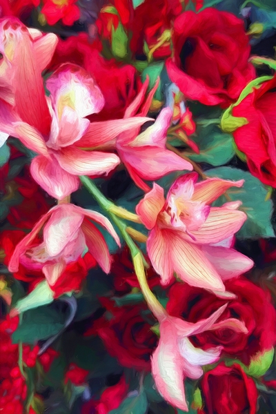 Rhapsody in Reds by Chrystyne Novack