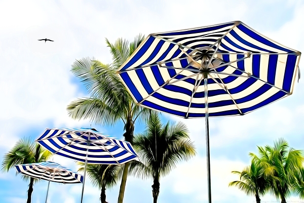 Seashore Canopies - Sanibel by Chrystyne Novack