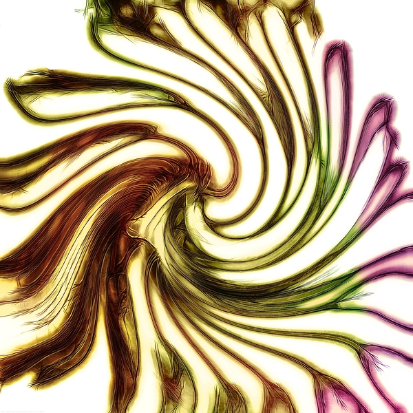 Terra Mystique - Abstract by Chrystyne Novack