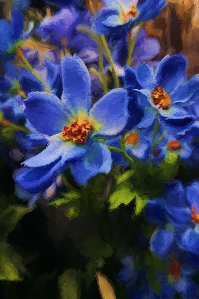 The Forget Me Not Blues by Chrystyne Novack