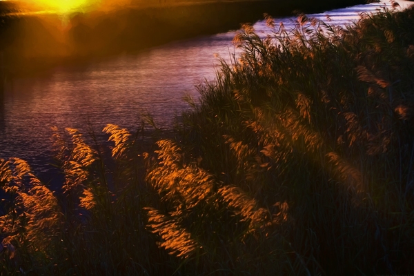 The Golden Hour by Chrystyne Novack