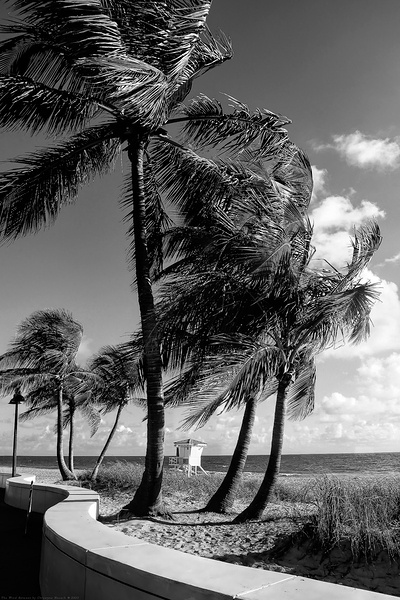 The Wind Between- Ft Lauderdale Beach by Chrystyne Novack
