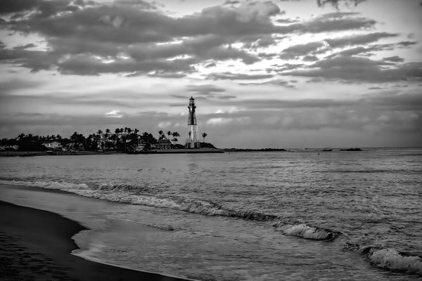 Touched by the Light - BW by Chrystyne Novack