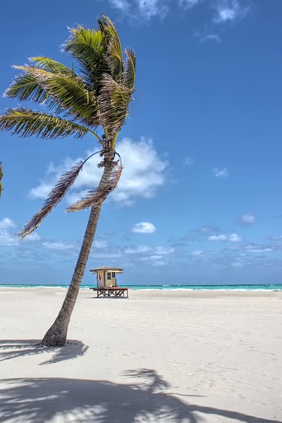 Wind in the Sails - Hollywood Beach by Chrystyne Novack