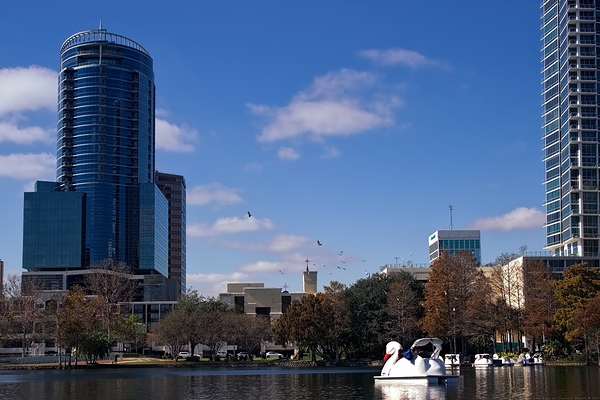 Wings - Lake Eola Print
