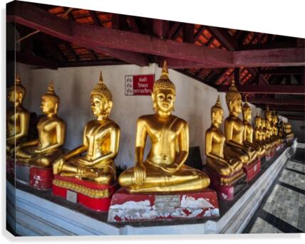 Buddhas Canvas Print