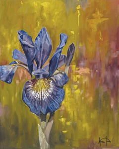 Iris