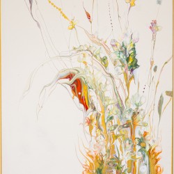 Geum